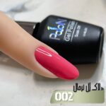 لاک ژل برند پایون کد 002 - Image 2