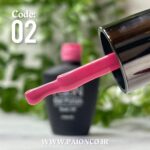 لاک ژل برند پایون کد 002 - Image 4