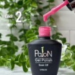 لاک ژل برند پایون کد 002 - Image 3