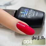 لاک ژل برند پایون کد 004 - Image 2