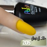 لاک ژل نرمال پایون کد 205 - Image 2