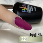 لاک ژل نرمال پایون کد 221 - Image 2