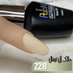 لاک ژل نرمال پایون کد 228 - Image 2