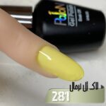 لاک ژل نرمال پایون کد 281 - Image 2