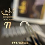 T1 قالب کاشت 120 عددی پایون - Image 6