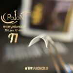 T1 قالب کاشت 120 عددی پایون - Image 9
