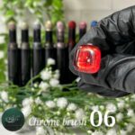 قلم کروم پایون کد 6 - Image 3