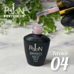 فرنچ بیس 04 PAION