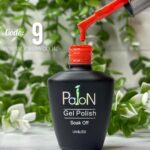 لاک ژل برند پایون کد 009 - Image 4