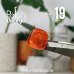 دیسکو ژل  PAION  کد 19 - Image 2