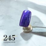 لاک ژل نرمال پایون کد 245 - Image 3