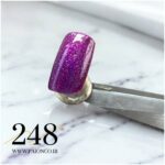لاک ژل نرمال پایون کد 248 - Image 2