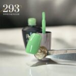 لاک ژل نرمال پایون کد 293 - Image 3